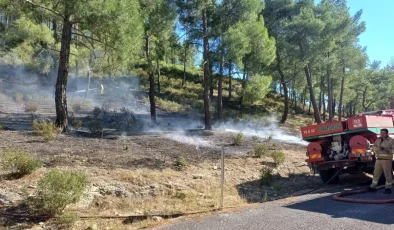 Mersin’de Orman Yangını Kısa Sürede Kontrol Altına Alındı