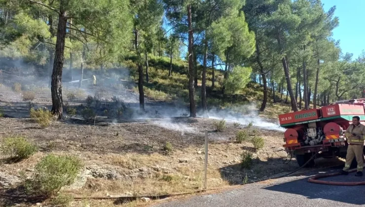 Mersin’de Orman Yangını Kısa Sürede Kontrol Altına Alındı